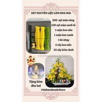 [SET NGUYÊN LIỆU] LÀM HOA MAI,HOA ĐÀO,CÂY QUÝT,TRANG TRÍ NHÀ CỬA NGÀY TẾT,HỎA TỐC