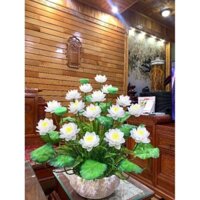 Set nguyên liệu tự làm bình hoa sen pha lê, không gồm chậu