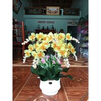 Set nguyên liệu tự làm hoặc thành phẩm làm sẵn bình hoa lan pha lê, chậu gốm hàng Trung cao cấp