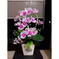 Set nguyên liệu tự làm hoặc thành phẩm làm sẵn chậu hoa lan pha lê 3cành + kèm chậu in hình ngẫu nhiên