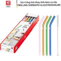 SET ỐNG HÚT THUỶ TINH MÀU SẮC 4 CÁI KÈM CHỔI ZWILLING 23CM