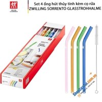 SET ỐNG HÚT THUỶ TINH MÀU SẮC 4 CÁI KÈM CHỔI ZWILLING 23 CM.
