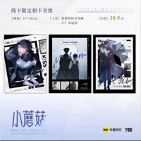 Set postcard 3 tấm Cây nấm nhỏ Thất Thượng