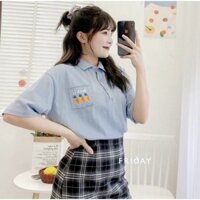 Set pull xanh cổ polo + chân váy caro