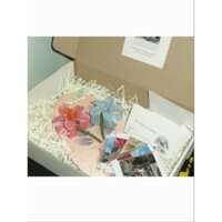 set quà hoa kẹp + ảnh polaroid