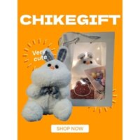 Set quà tặng gấu bông bao gồm gấu bông, hoa sáp, thiệp, quà tặng sinh nhật, lễ tết