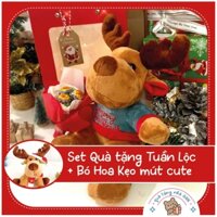 Set Quà Tặng Noel - Túi quà Giáng Sinh Tuần Lộc Bông siêu rẻ tặng kèm Bó Hoa Kẹo Mút cute