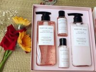 set quà tặng sữa tắm- sữa dưỡng chăm sóc cho body perfume seed của The Faceshop