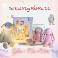 Set quà tặng [ Thỏ Bông + Đèn Led + Túi ] Thú Bông Đồ Chơi