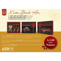 [Set quà tết cao cấp] Xuân Bình An từ linh chi Nhất Long sang trọng, tinh tế - Giỏ quà vì sức khoẻ