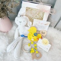 Set quà thôi nôi quà tặng sinh nhật set quà sơ sinh cao cấp tặng đầy tháng cho bé kèm nơ và thiệp-BBK