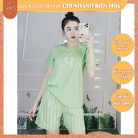 🍀Set quần sọc bigsize, đồ nữ mặc nhà chất liệu cotton mềm mát, dễ thương TS014