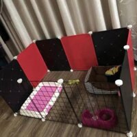 🌺SET QUÂY CŨI THÚ CƯNG