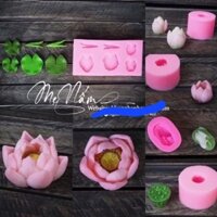 Set sen thái silicon