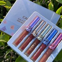 Set son gấu