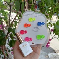 Sét Sơn gel neon vendeeni 6 mầu chính hãng