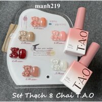 Set Sơn Gel Thạch 6 màu TAO [ Tặng Bảng Màu ] - manh219