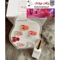 Sét sơn gel thạch 6 mầu VANDONNIE