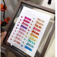Sét sơn mắt mèo UOMEEI 19 chai mix đủ tông màu, có bảng màu đi kèm.
