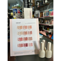 Set Sơn Thạch 12 Màu