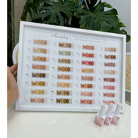 Sét sơn thạch 32 màu Aivennhuy con bướm tặng kèm bảng màu