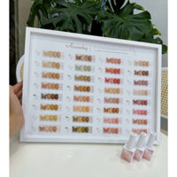 Sét sơn thạch 32 màu Aivennhuy con bướm.tặng kèm bảng màu