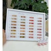 Sét sơn thạch 32 màu Aivennhuy con bướm tặng kèm bảng màu