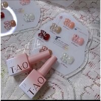 Sét sơn thạch gấu 6 mầu