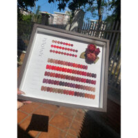 set sơn XynyouLi 48màu hàng loại 1 giá thanh lý, cốp thanh lý