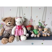 Set teddy 6 con