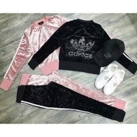 Set thể thao adidas