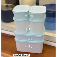 Set trữ đông dẻo thân xanh 6 hộp Tupperware