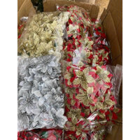set túi 50 bông hoa trạng nguyên