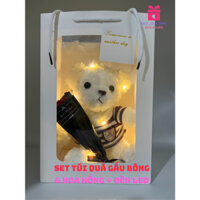 🎁Set Túi Quà Tặng Gấu Bông Hoa Sáp Vĩnh Cửu Dễ Thương 💝 Kèm Thêm Đèn Led / Kiot_quatang