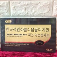 Set uốn mi collagen Hàn quốc