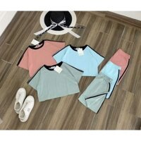 Set váy body ôm cổ tròn