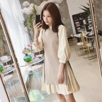 Sét váy kèm áo len đính hoa