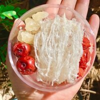Set yến sợi tinh chế +kỳ tử+ táo đỏ+ đường phèn