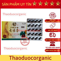 Seven leave ginseng, thất diệp sâm Malaysia loại vỉ-Hỗ trợ xương khớp