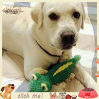 Sgw _ Đồ chơi cho chó Con Đồ chơi quà tặng Đồ chơi thú cưng hình con thằn lằn vui nhộn và bền bỉ cho chó mèo Âm thanh kêu rít Giảm căng thẳng Đồ chơi nhai hoàn hảo để giảm nhàm chán và mài răng mềm