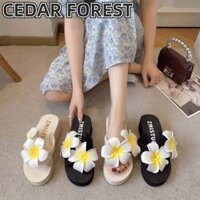 Shanmusenlin✨ Dép nữ mùa hè Giày đi biển hoa phù hợp thời trang