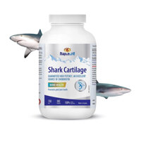 shark cartilage