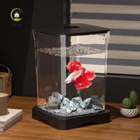 Shenjin Betta Bể Cá Acrylic Thiết Thực Cho Tôm Cá Hề