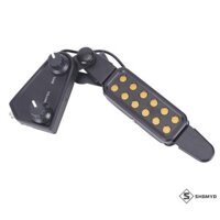 Shgmyd > Bộ khuếch đại thu âm thanh kẹp dây đàn Guitar điện âm thanh 12 lỗ Mới