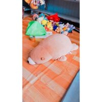 shiba chất bông miniso  cao cấp ôm bao đã 90cm chỉ 199k