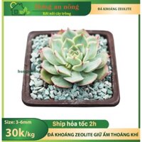 SHIP HỎA TỐC bao 20kg đá khoáng Zeolite giữ nước, giữ ẩm mang dưỡng chất cho bộ rễ, thoáng khí tốt.