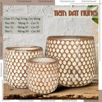 [Ship Hỏa Tốc] Cặp 3 Chậu Tổ Ong Siêu Lớn trồng cây kiểng trang trí sân vườn, chậu sứ Bát Tràng