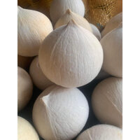 SHIP HOẢ TỐC DỪA XIÊM TRỌC BẾN TRE