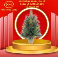 [Ship hoả tốc Hcm ] Cây thông Noel mini 3 loại lá kích tthước 45cm và 60cm cước lăn sơn có trang trí