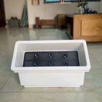 (SHIP HỎA TỐC HN) Khay trồng rau trồng hoa thông minh size 48x20 vs 66x24 XoàiGarden